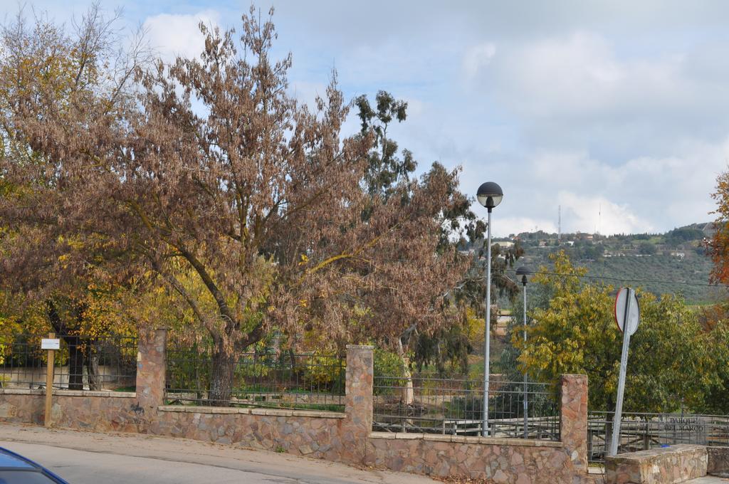Apartamento Turistico La Ribera Del Marco Caces Rum bild